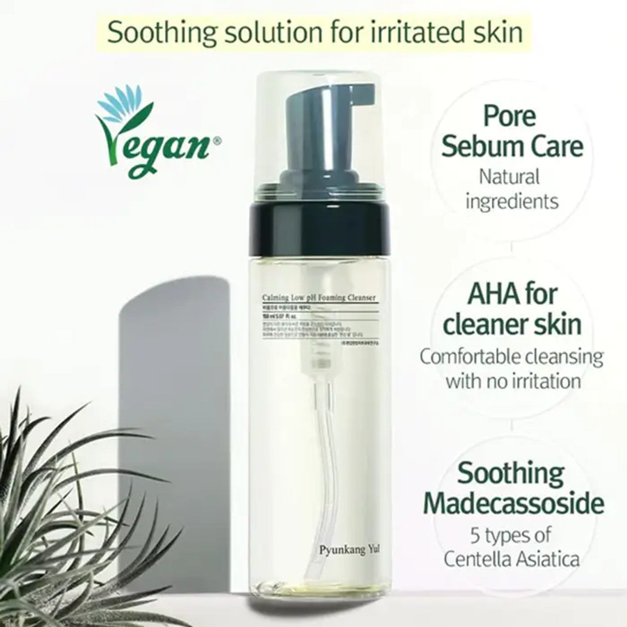 Pyunkang Yul Calming Low pH Foaming Cleanser 150ml - Image 2